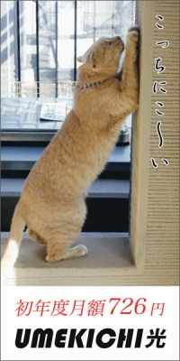 batch_umekichi_300c.jpg