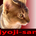 jyoji-san