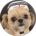 司馬亮