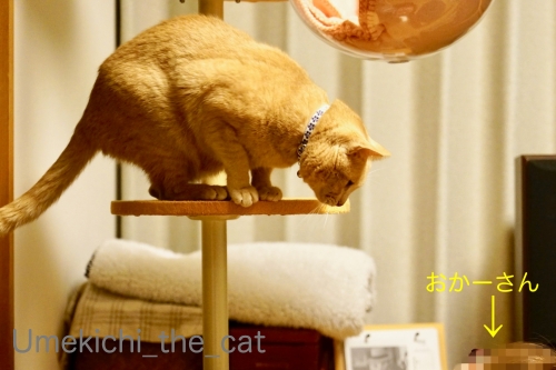 4BFFA680-FC5B-413E-A95F-159D48A62C33_batch200.jpg
