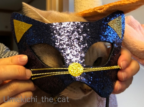 IMG_4344_batch200.jpg