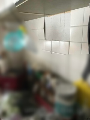 S__24191008_batch.jpg