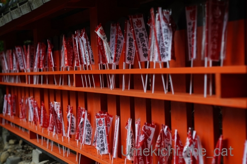 batch_724ADCDF-DA47-4D8B-B6E6-BFE6820E646B.jpg