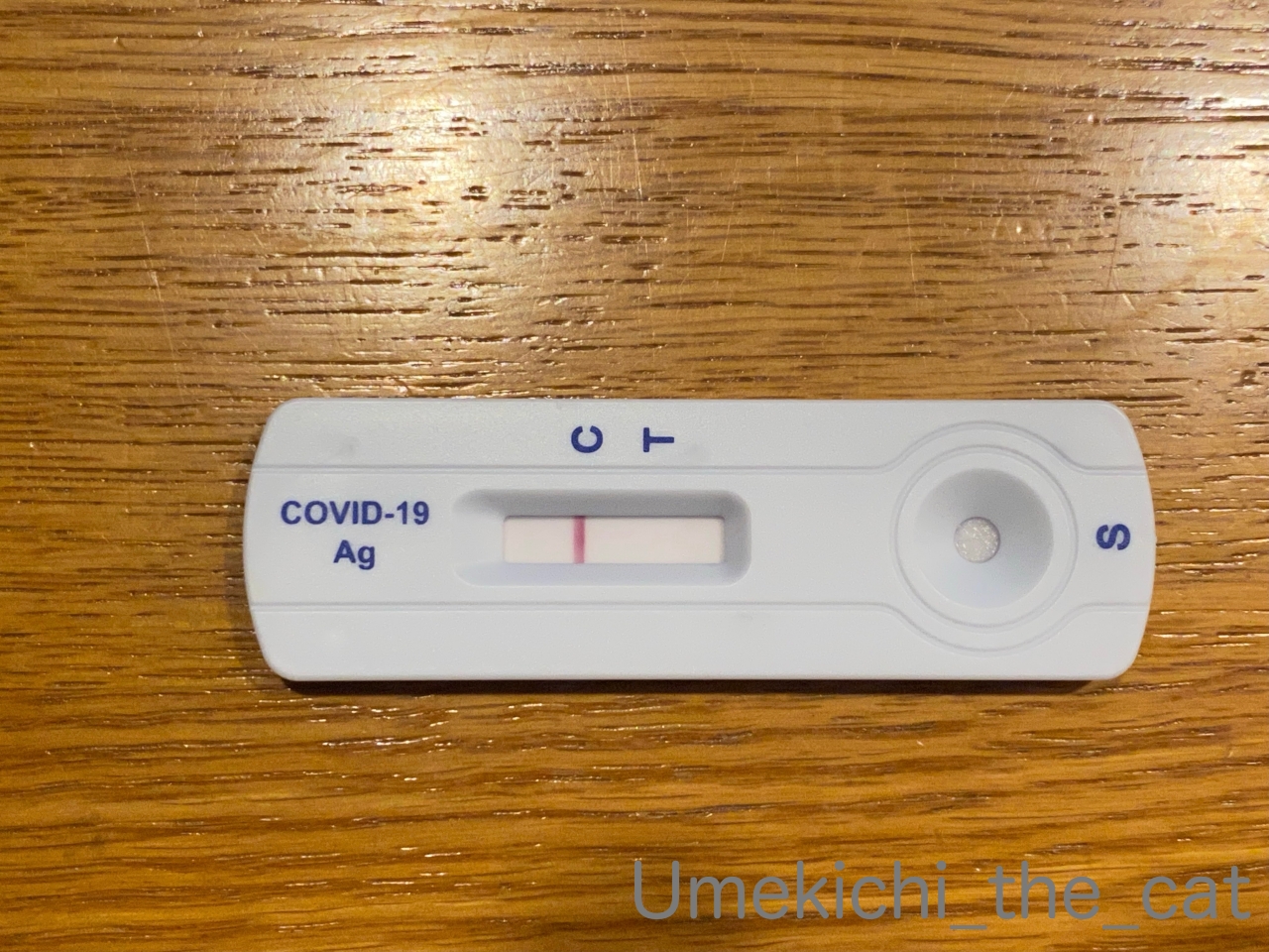 batch_IMG_0650D.JPG