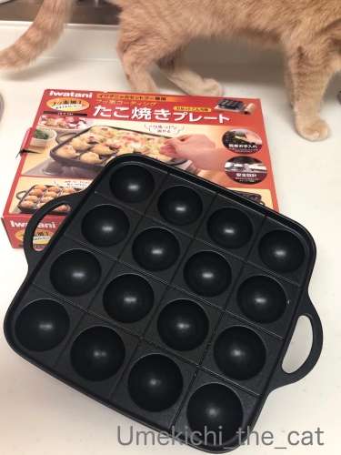 batch_IMG_4655.jpg