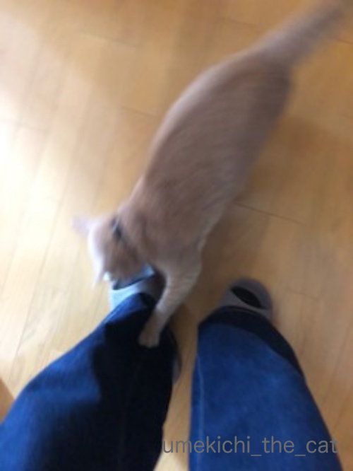 image1 2_batch.jpeg