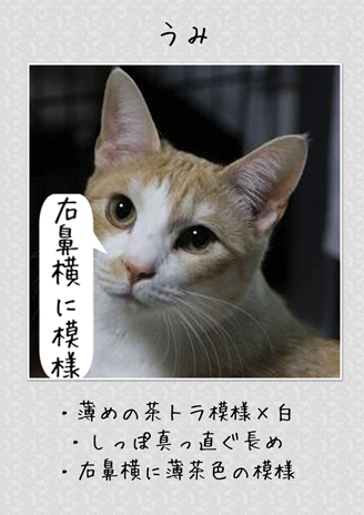 3.gif