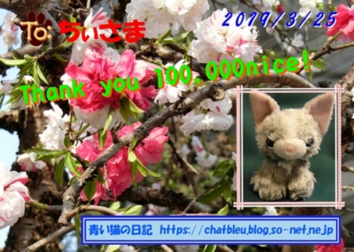 m_ChatBleu_100000_batch100.jpg