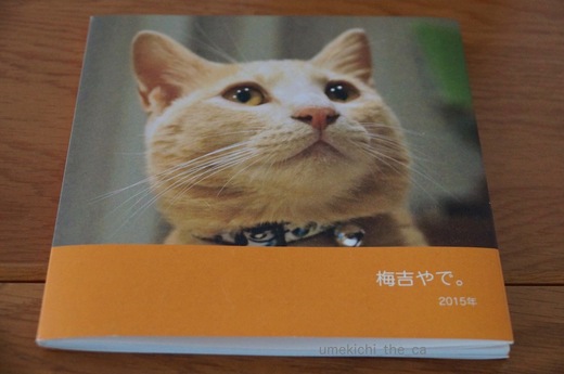 DSC01119.jpg