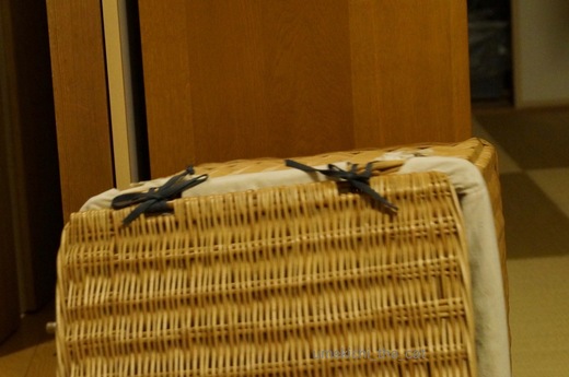 DSC01805.jpg