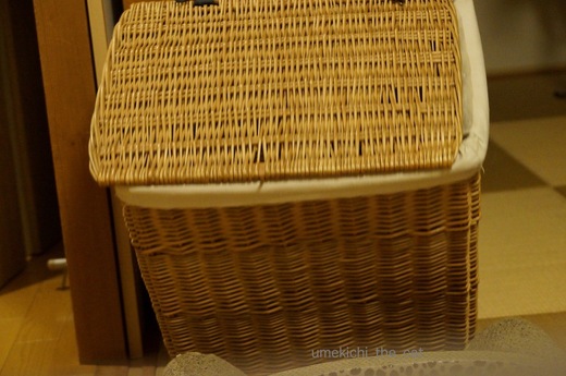DSC01808.jpg