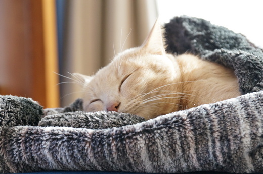 DSC02146.JPG