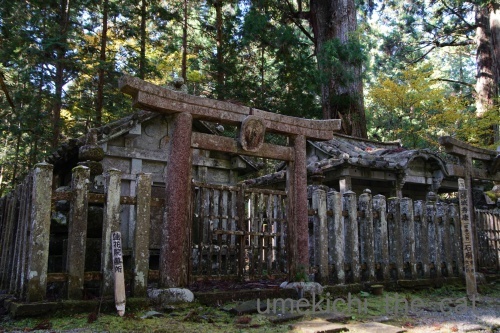 DSC02567_batchハロ.jpg