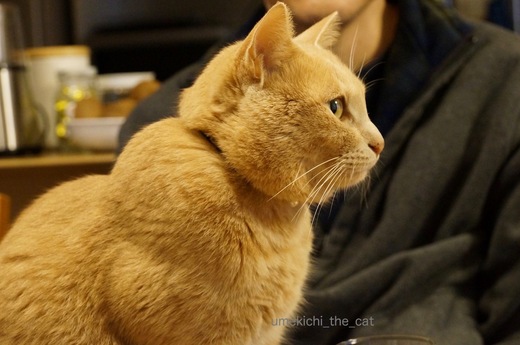 DSC02586.jpg