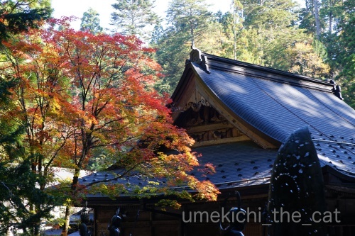 DSC02602_batchハロ.jpg