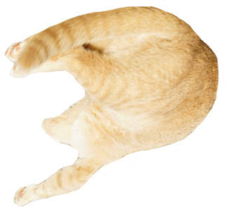 DSC02763.png