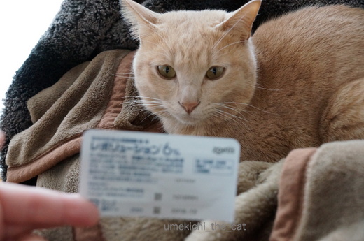 DSC03084.JPG