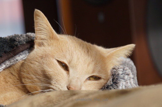 DSC03145.JPG