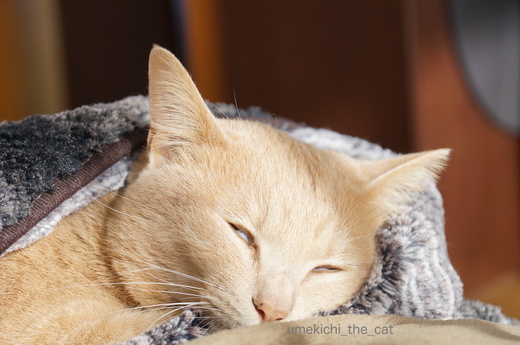 DSC03162.JPG