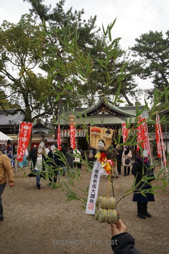 DSC03775.jpg