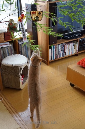 DSC03805.jpg