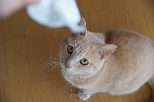 DSC03941.JPG