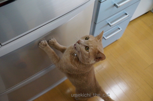 DSC04185.JPG