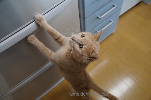 DSC041892.JPG