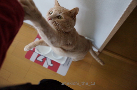 DSC04222.JPG