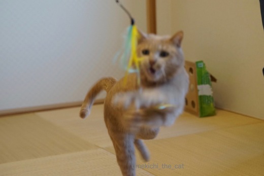 DSC04244.jpg