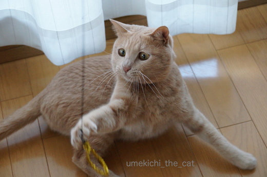 DSC043202.JPG