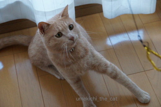 DSC04327.JPG