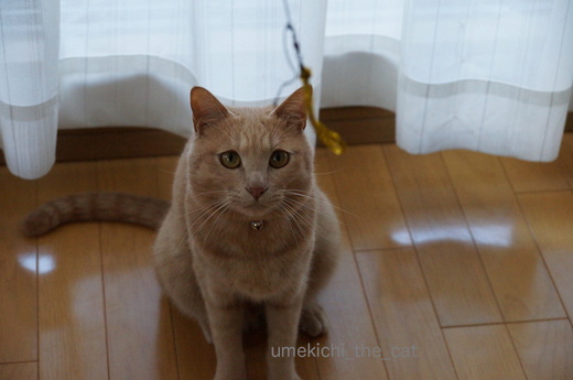 DSC04364.JPG