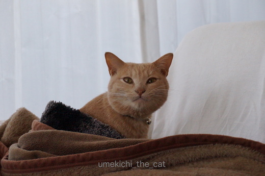 DSC04370.JPG