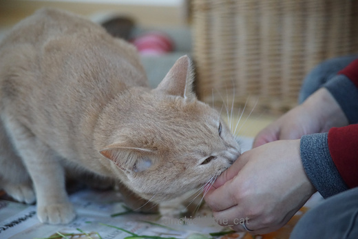 DSC04710.jpg