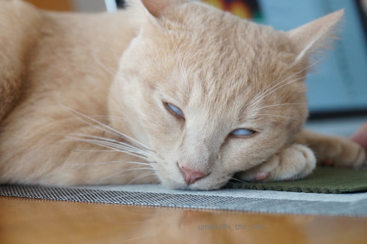 DSC05013.JPG