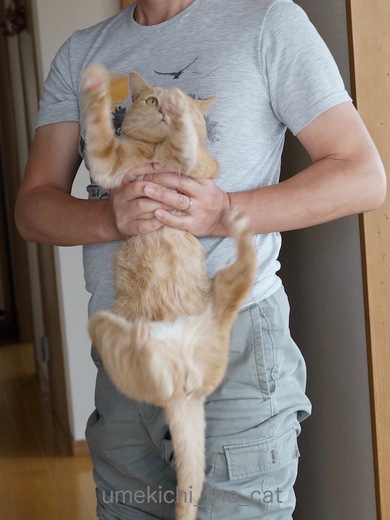 DSC05484.jpg