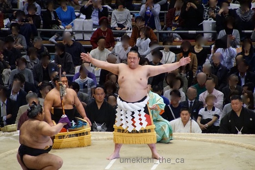 DSC05558.jpg