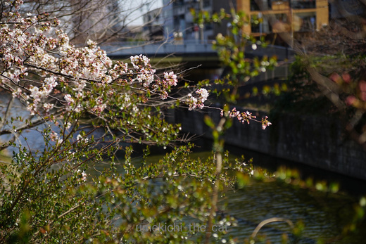 DSC05863.jpg