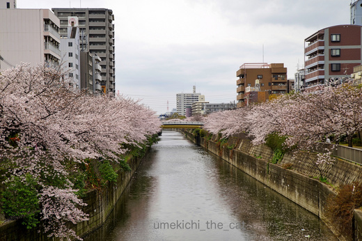DSC06304.jpg