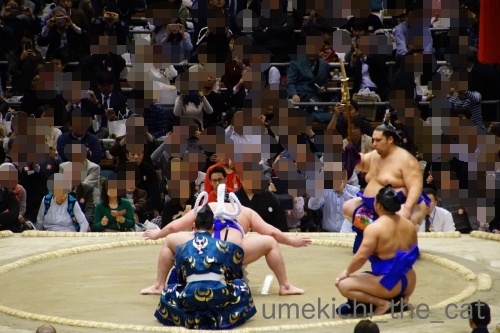 DSC07748_batch.jpg