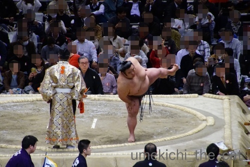 DSC07894_batch.jpg