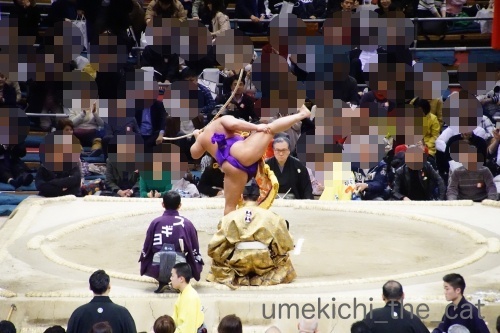 DSC08158_batch.jpg