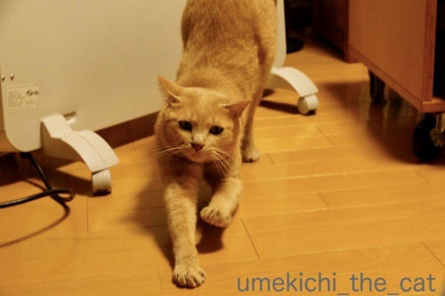 DSC08219_batch.jpeg