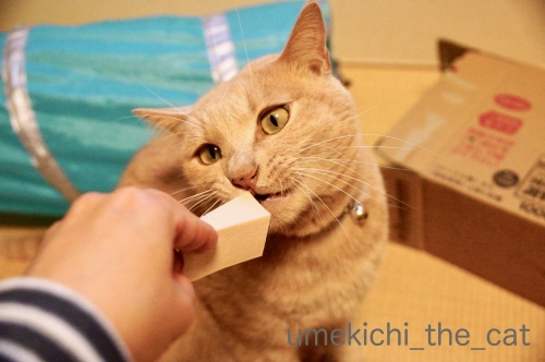 DSC08480_batch.jpeg