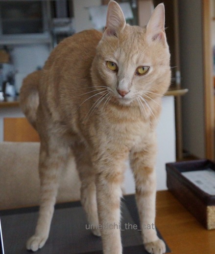 DSC08677.jpg
