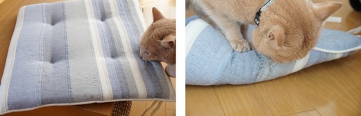 がぶがぶ2.jpg