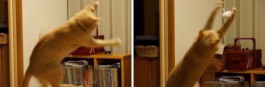 ジャンプ１.jpg