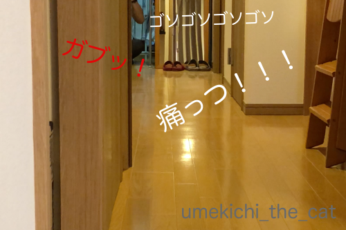 スクリーンショット 2018-10-25 5.24.59_batch.png