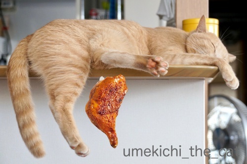 チキンレッグ梅吉.jpg